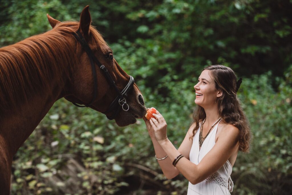 Horse feeding and bonding