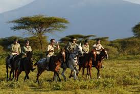 Horse riding safari trail