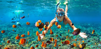 Snorkeling pictures
